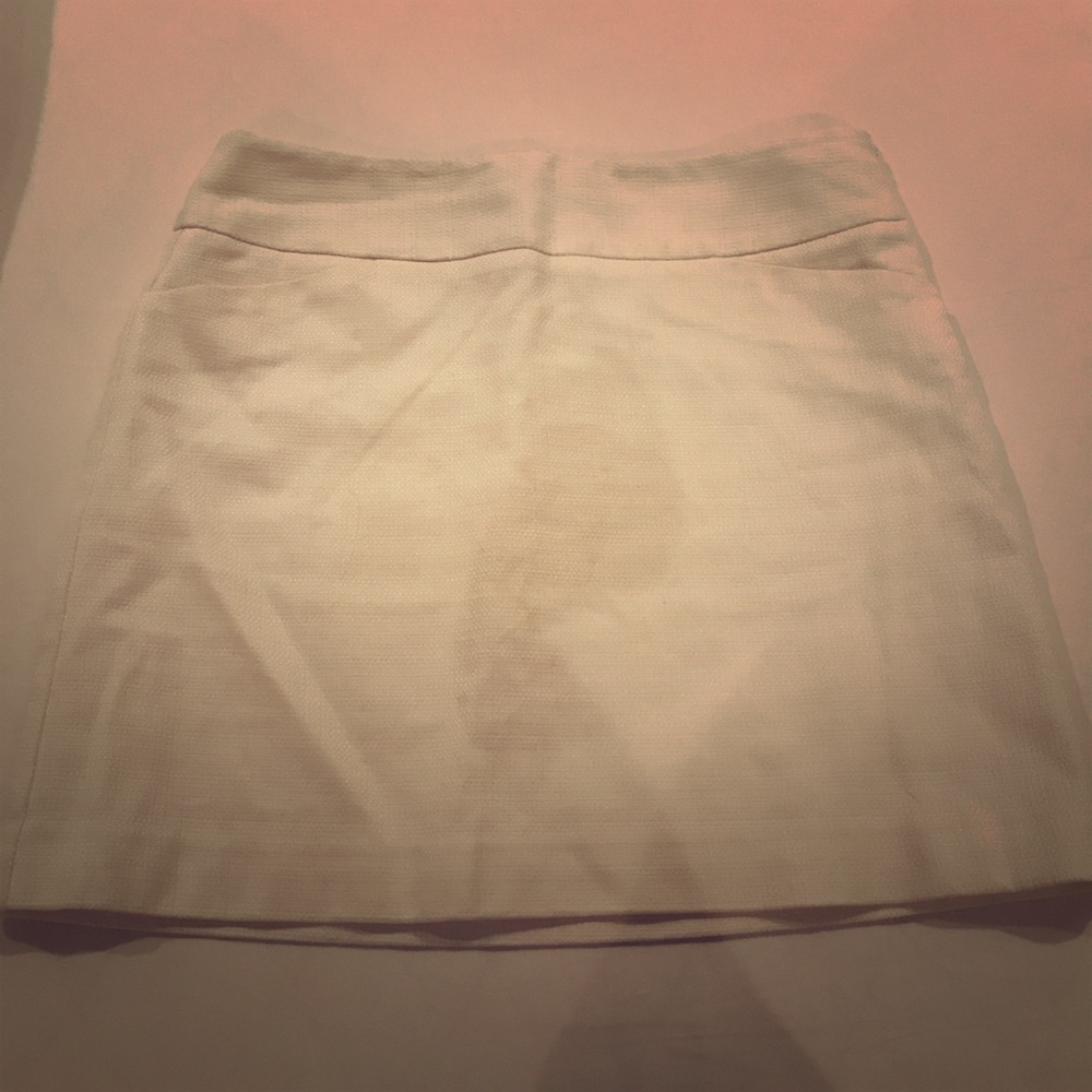 Ann Taylor Skirt